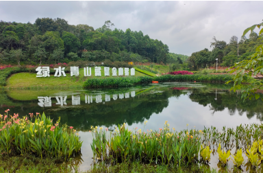 广东九洞森林公园